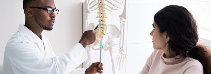 Chiropractic Minnetonka MN Educating on spine